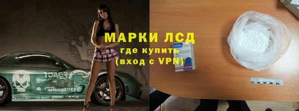 стаф Новодвинск