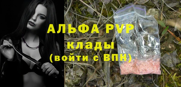 ПСИЛОЦИБИНОВЫЕ ГРИБЫ Нея
