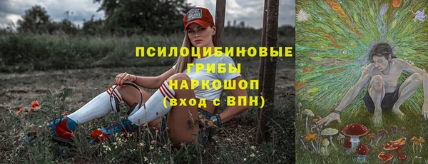 ПСИЛОЦИБИНОВЫЕ ГРИБЫ Нея
