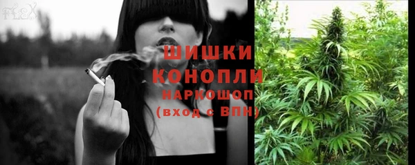 соль ск Новокубанск