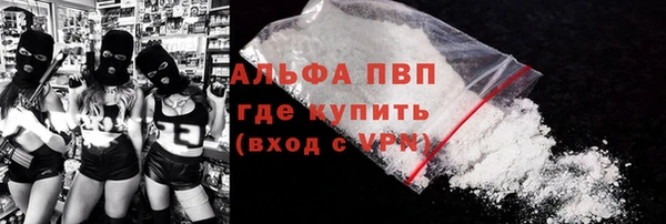 дживик Новозыбков