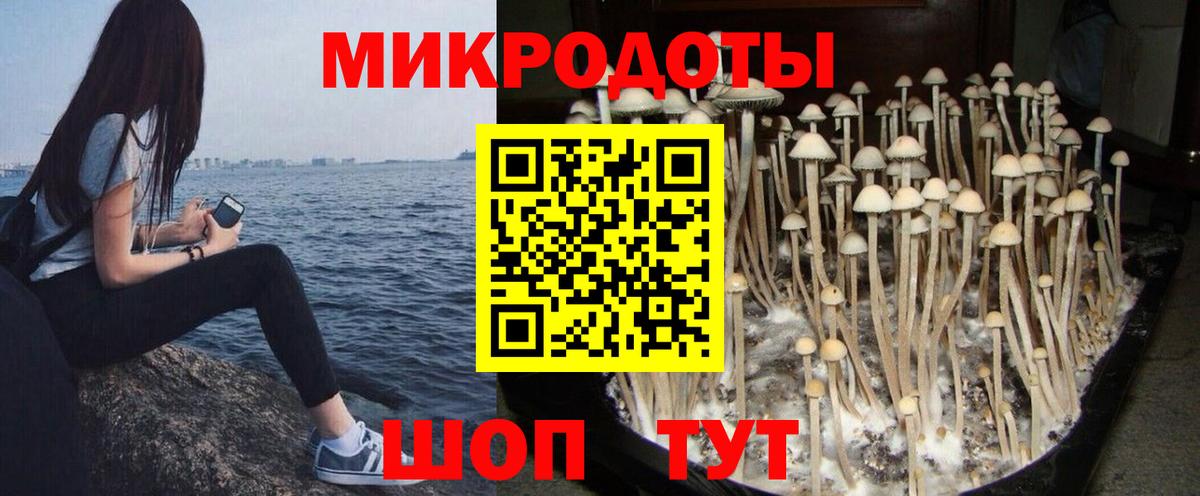 Галлюциногенные грибы ЛСД Зеленодольск