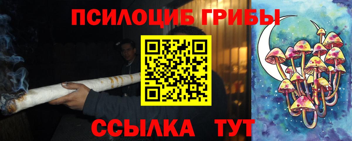 Галлюциногенные грибы Psilocybine cubensis  Зеленодольск 