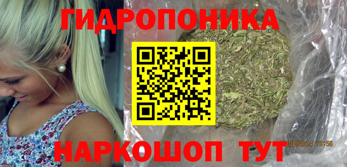 Зеленодольск  Бошки марихуана марихуана  Вход с VPN  МАРИХУАНА индика  Бошки Шишки White Widow 